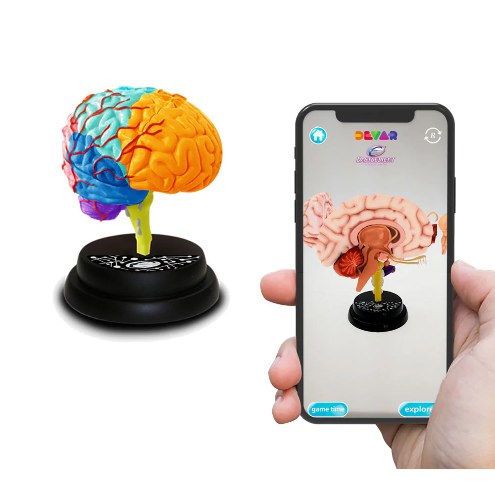 Eastcolight Ar Brain Professional Model 35001 - Image 2