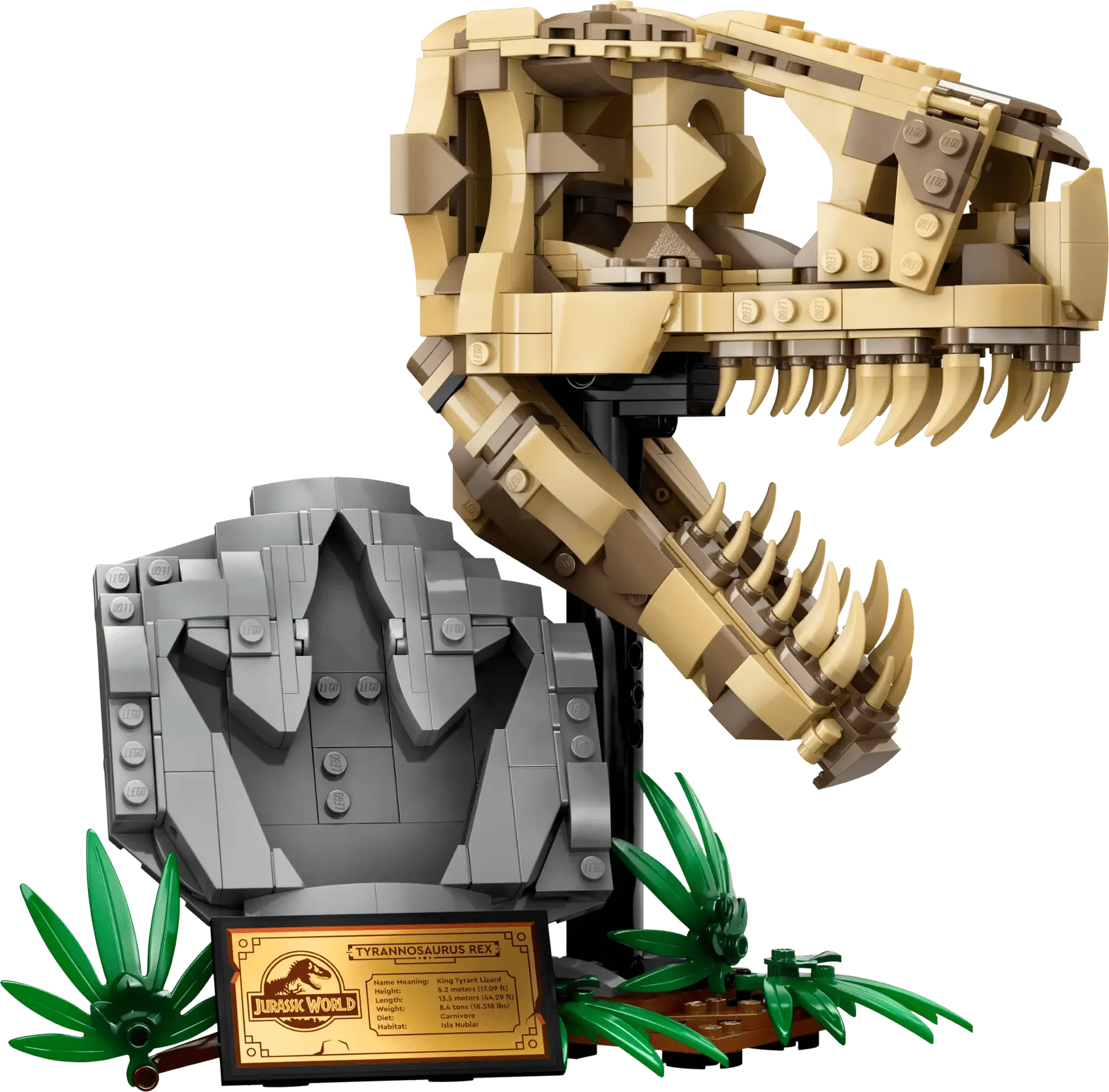 LEGO Dinosaur Fossils T.Rex Skull - Image 3